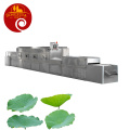 Tea Leaves Industrial Microwave Fixing Tunnel Dryer to dry the tea leaves